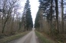 Sur le GR 714